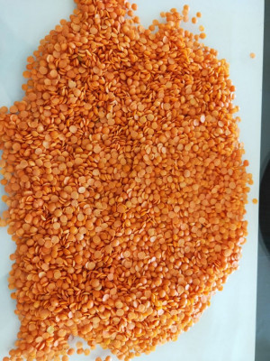 மைசூர் பருப்பு / Maisur Paruppu - Masoor Dall